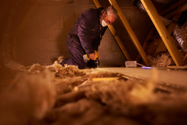 Best Insulation Materials and Products in Oakridge, OR